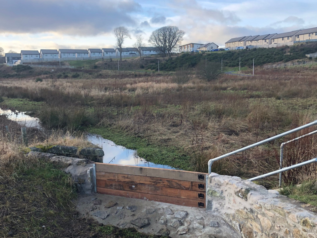 Maidencraig Nature Reserve